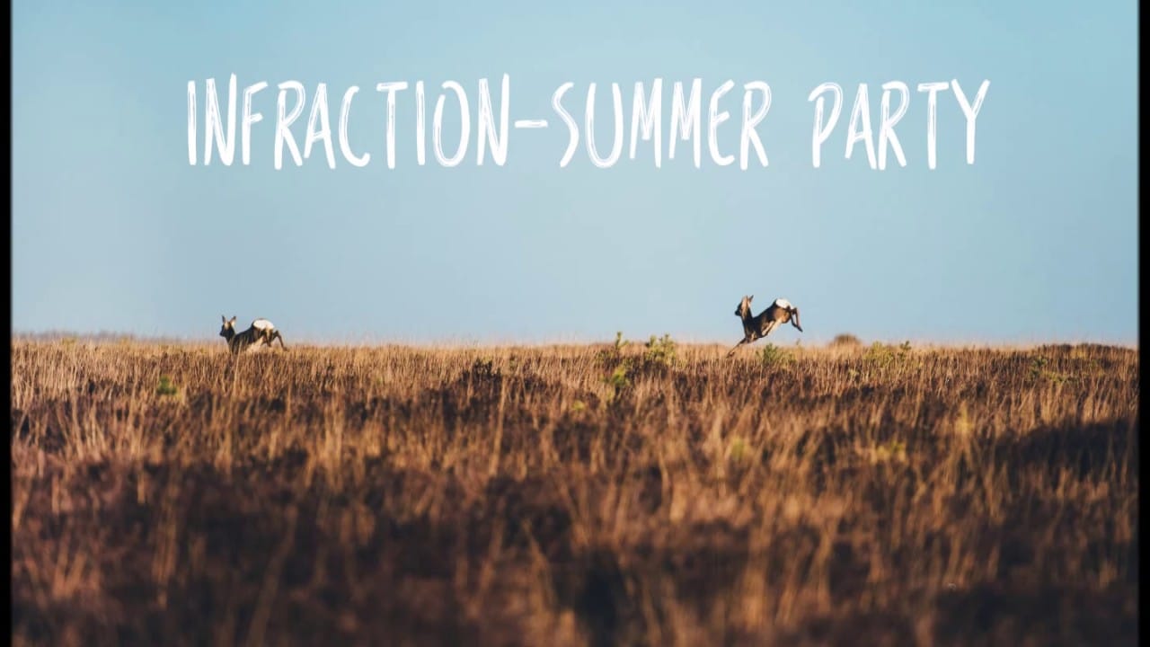 Summer Fun by Infraction